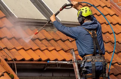 Démoussage et hydrofuge de toiture à Lengronne
